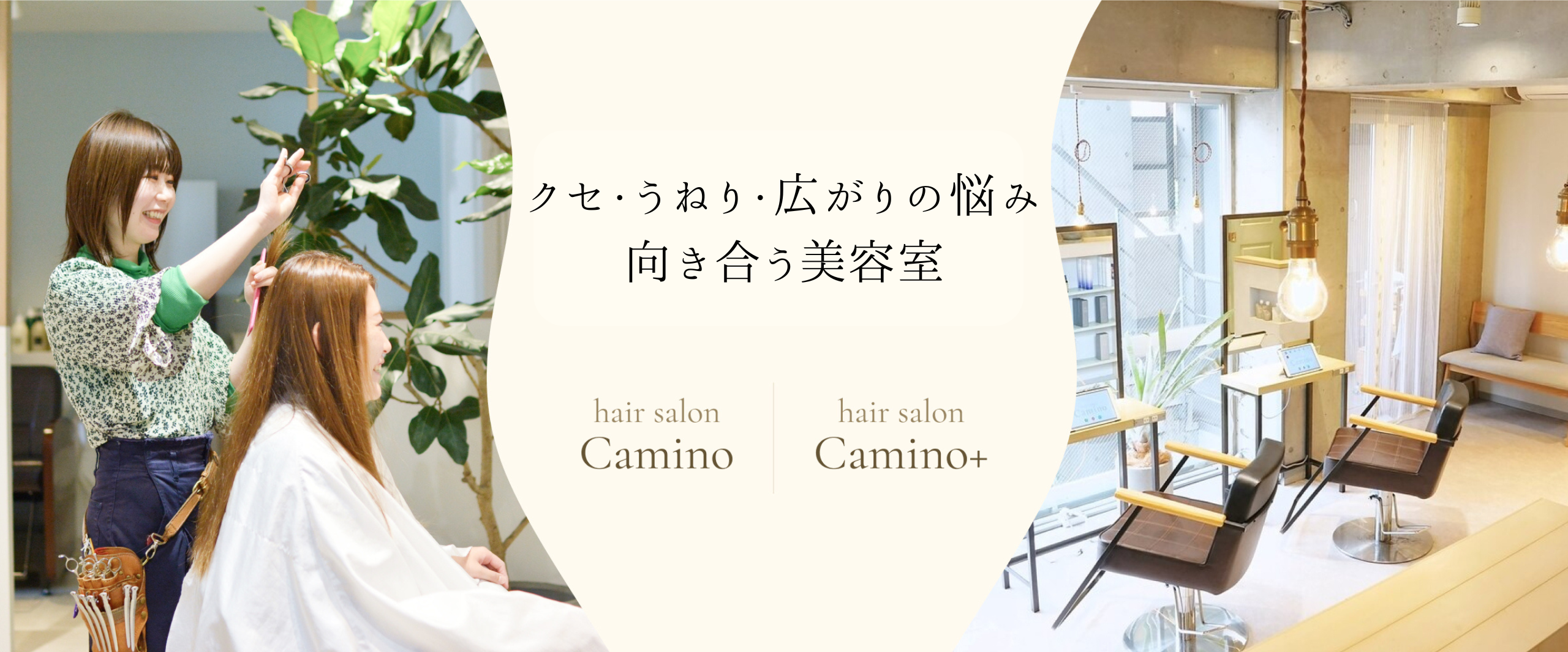 header-mv